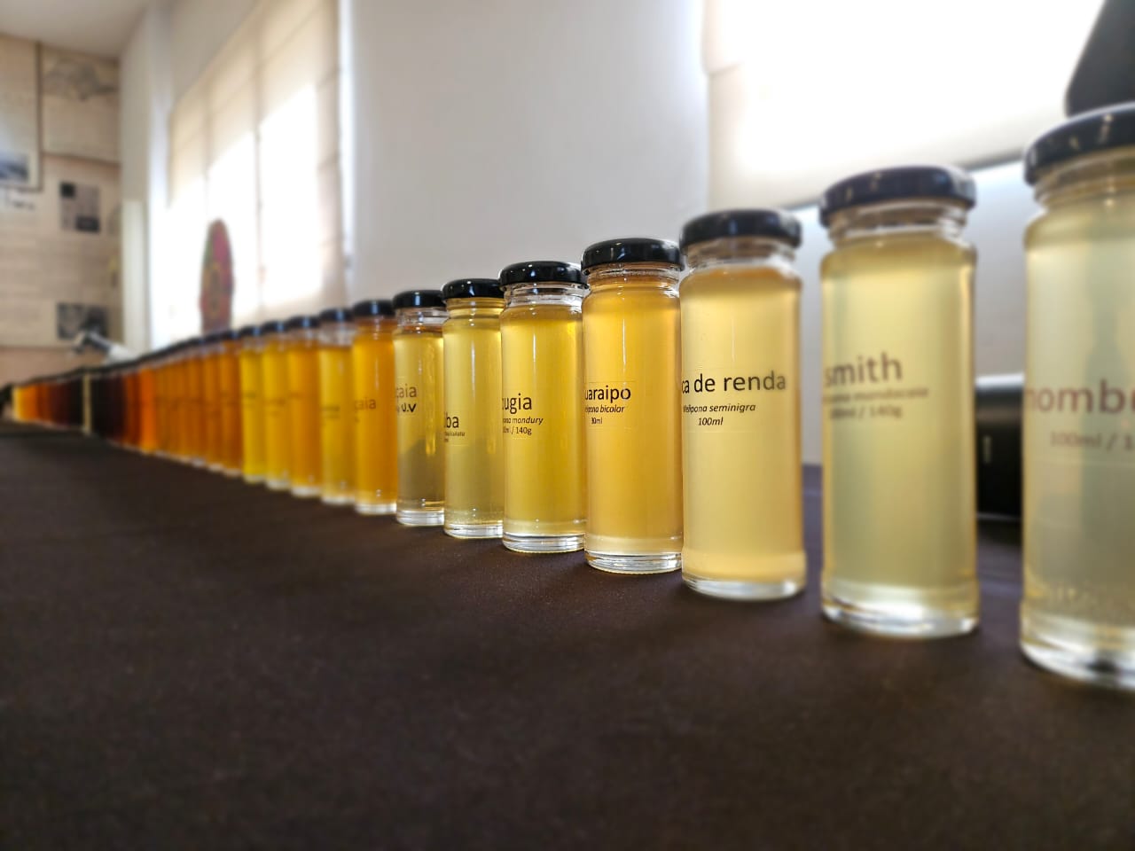 Imagem do curso - Instituto 4e